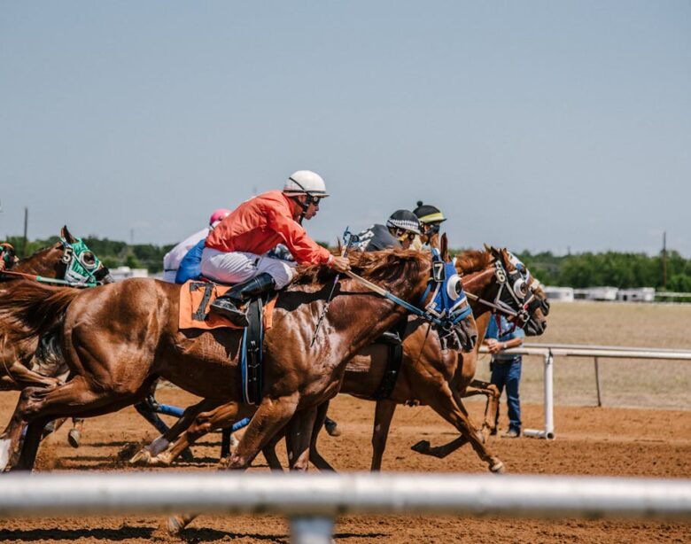 apostas em corridas de cavalos